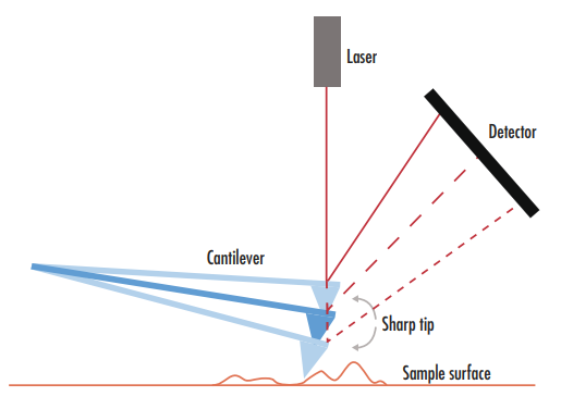 Figure 6 : Les modifications de la topographie de la surface déplacent la pointe de l’AFM, ce qui modifie la position du laser réfléchi sur la surface détectée et permet de mesurer la topographie de la surface