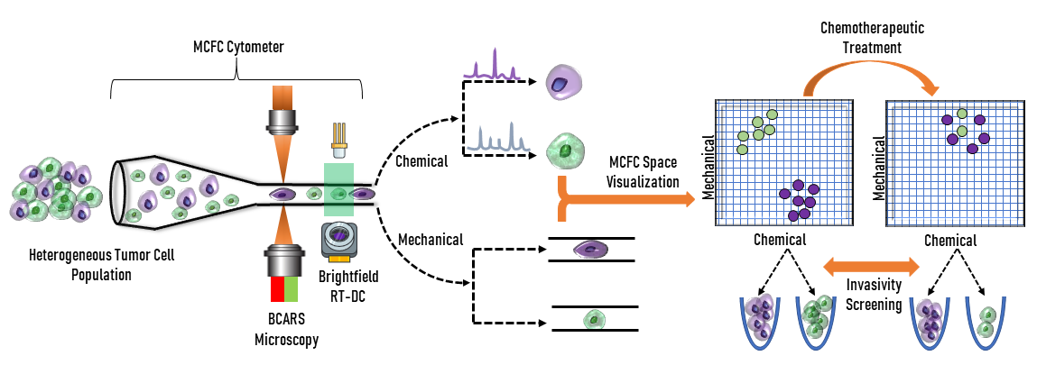 Figure 1 : Le cytomètre en flux mécano-chimique (MCFC), illustré ci-dessus, combine les technologies d'imagerie pour distinguer les cellules cancéreuses hétérogènes dans leur réponse au traitement chimiothérapeutique.