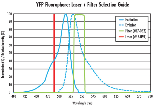 fig 3 Fluorescence Imaging with Laser Illumination