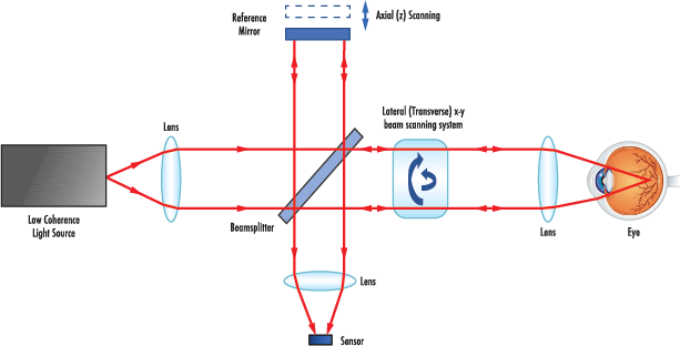Figure 2 : Schéma optique de l’OCT
